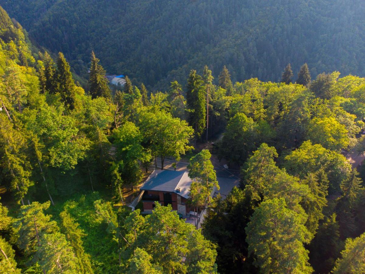 Hotel Evergreen Borjomi Εξωτερικό φωτογραφία