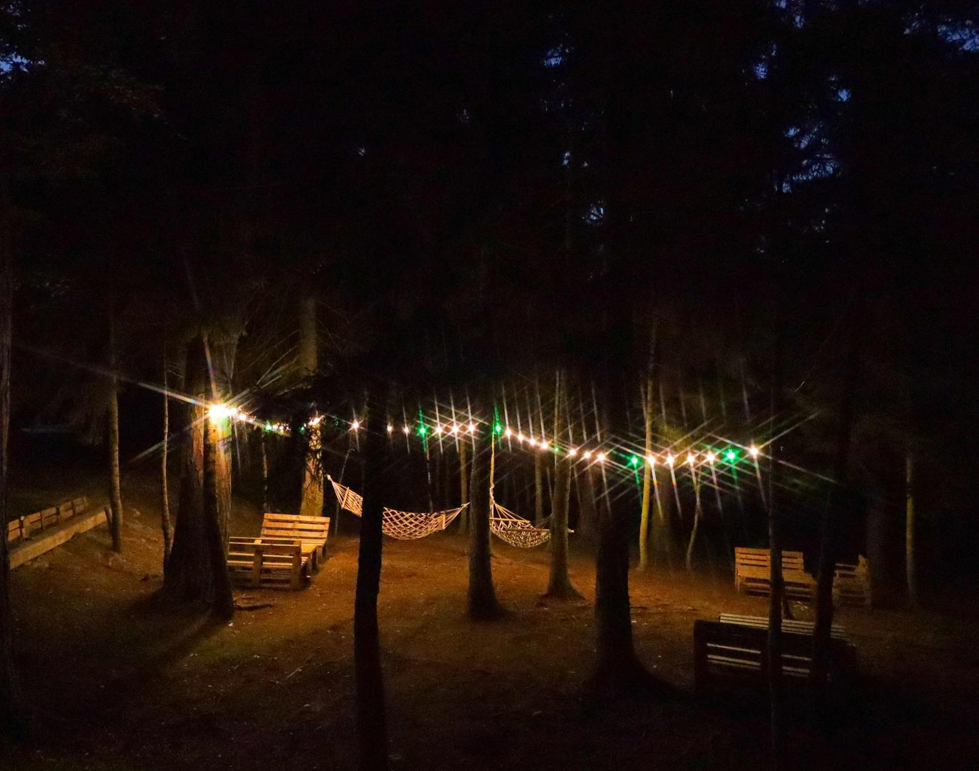 Hotel Evergreen Borjomi Εξωτερικό φωτογραφία